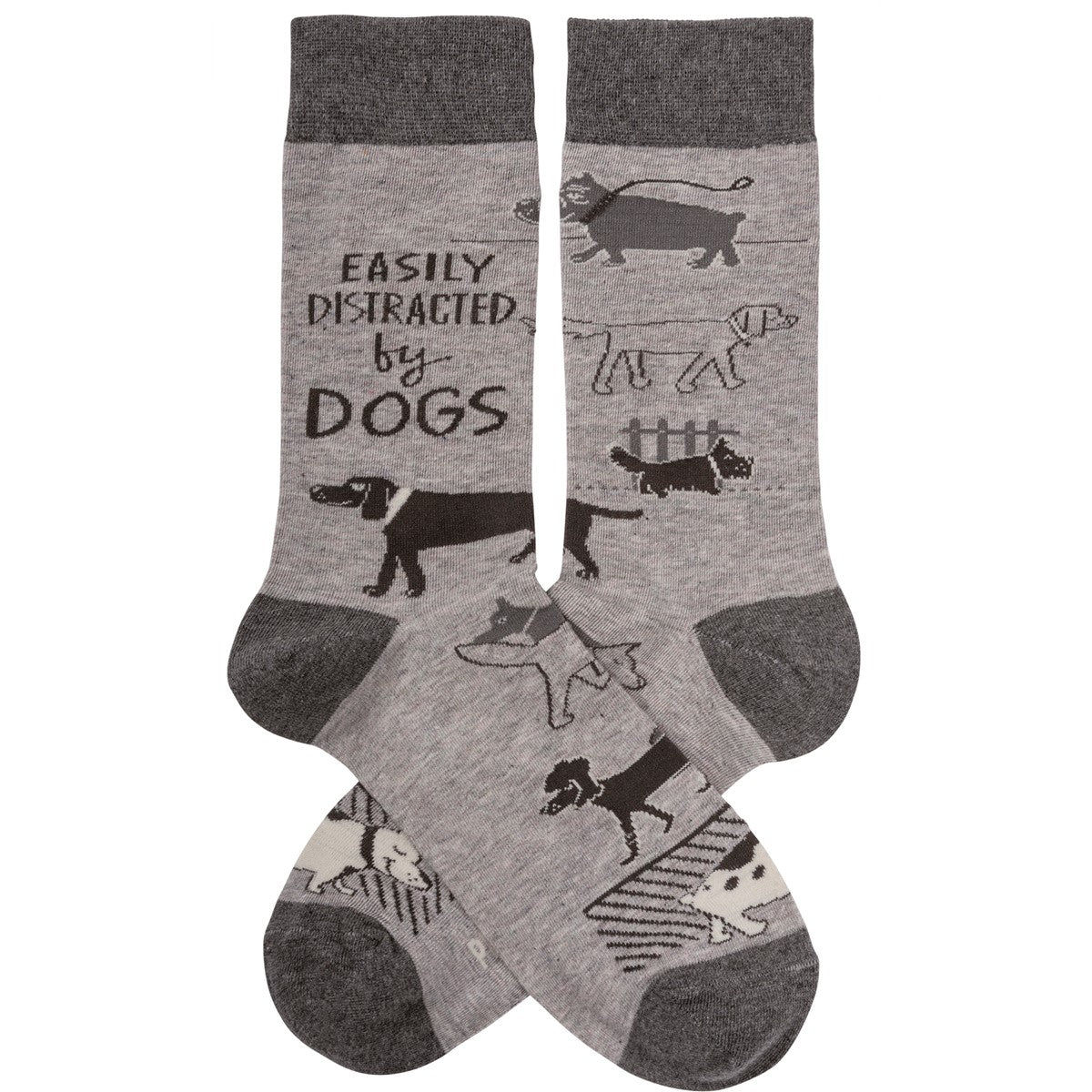 DISTRACTED BY DOGS SOCKS