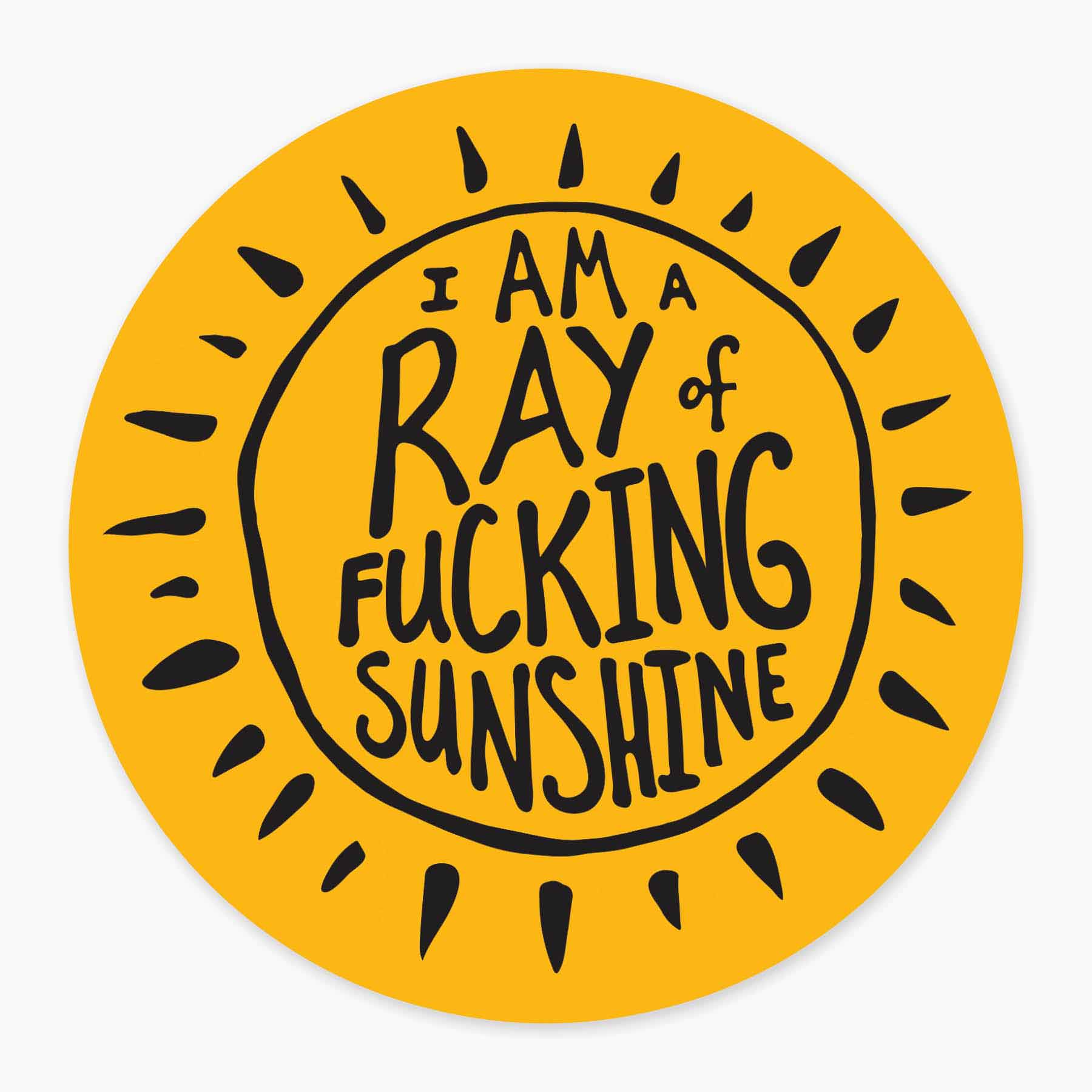 RAY OF FUCKING SUNSHINE STICKER