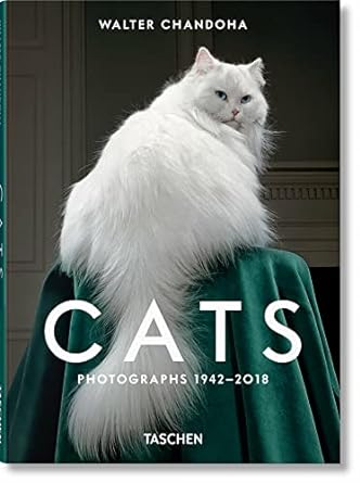 CATS: PHOTOGRAPHS