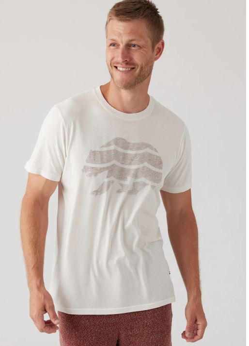 SOL ANGELES MENS BEAR WAVES TEE