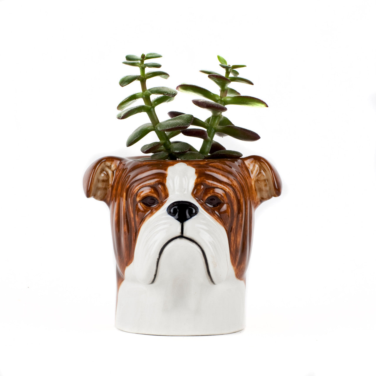 ENGLISH BULLDOG PENCIL POT