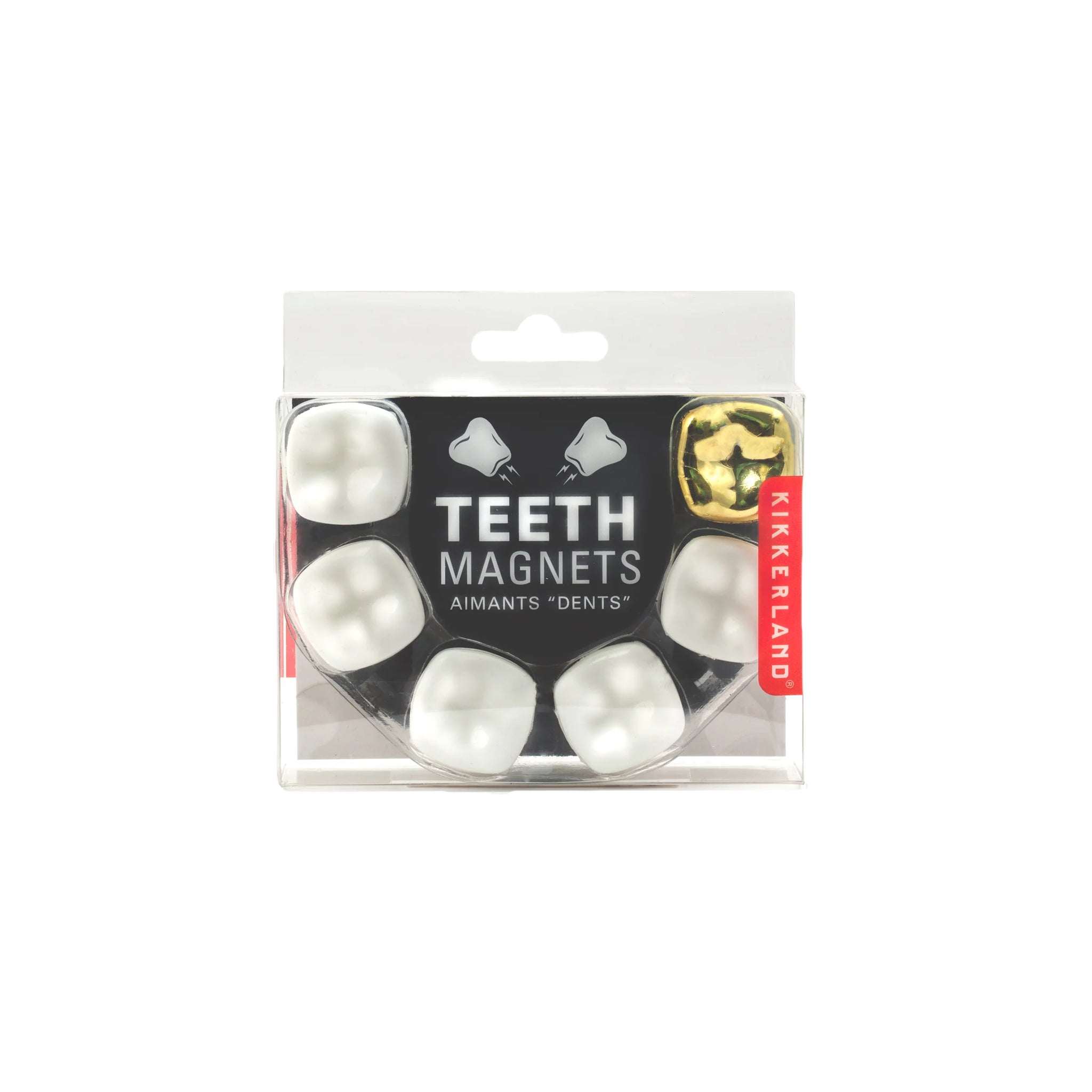 TEETH MAGNETS