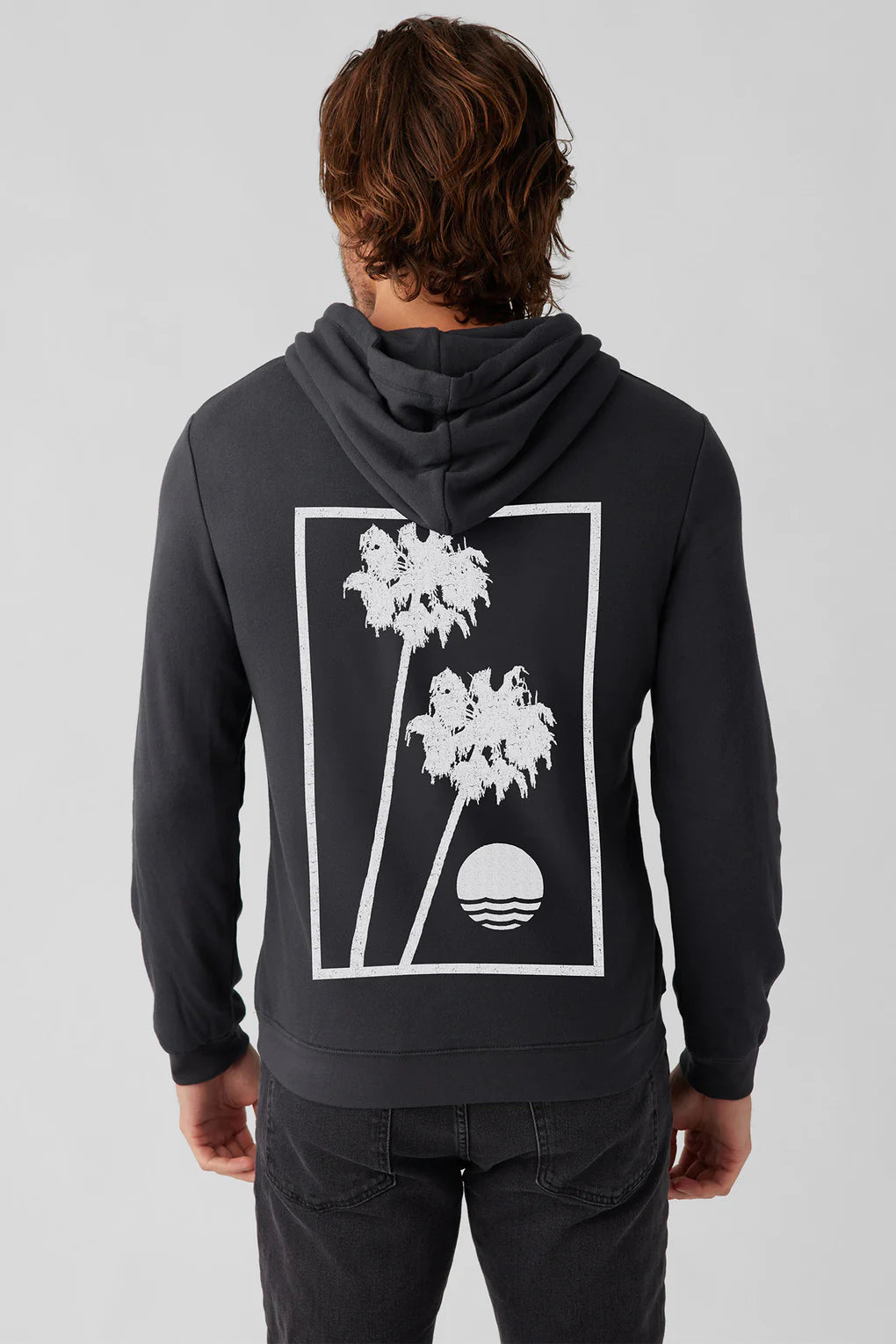 SOL ANGELES MENS PALM PULLOVER HOODIE