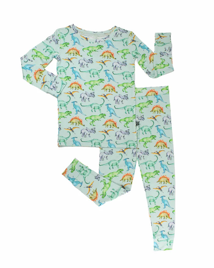 BOYS DINOSAURS GREEN PJ SET