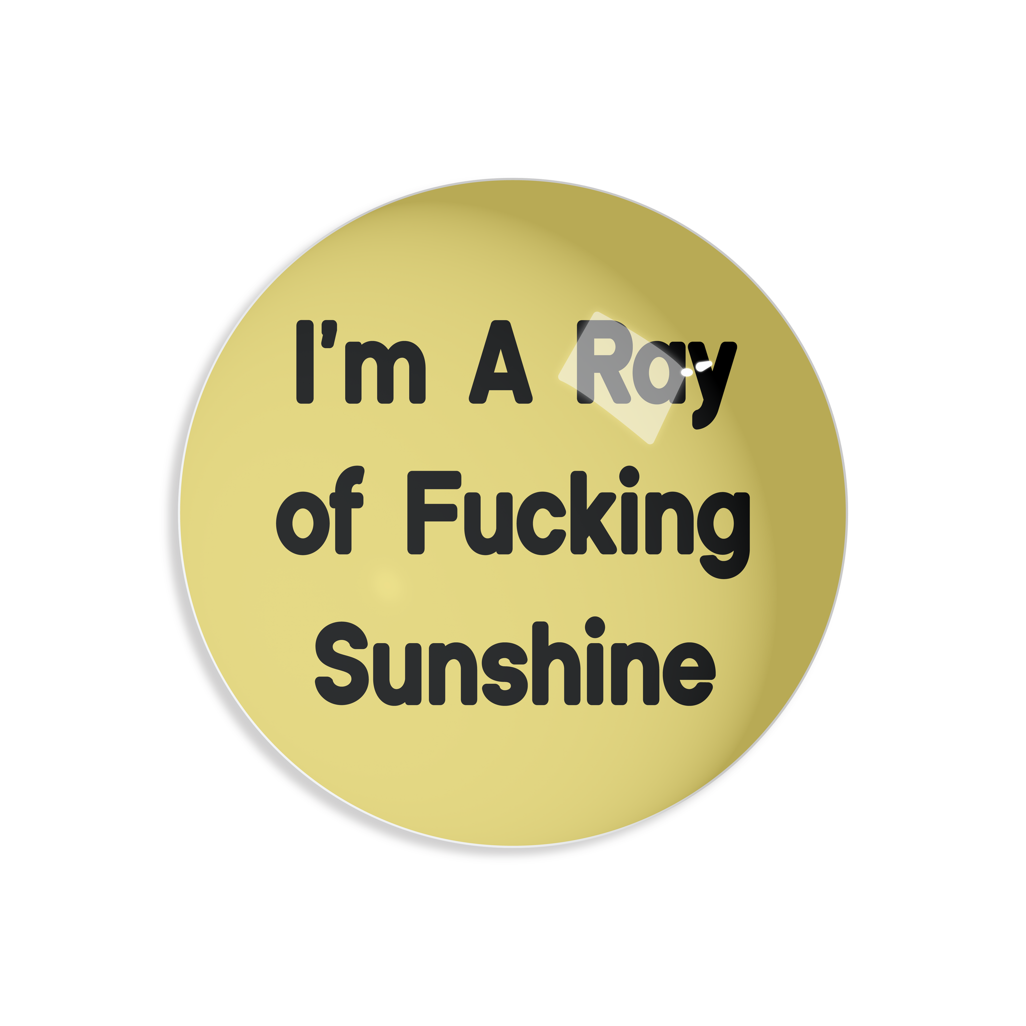 RAY OF FUCKING SUNSHINE PAPERWEIGHT
