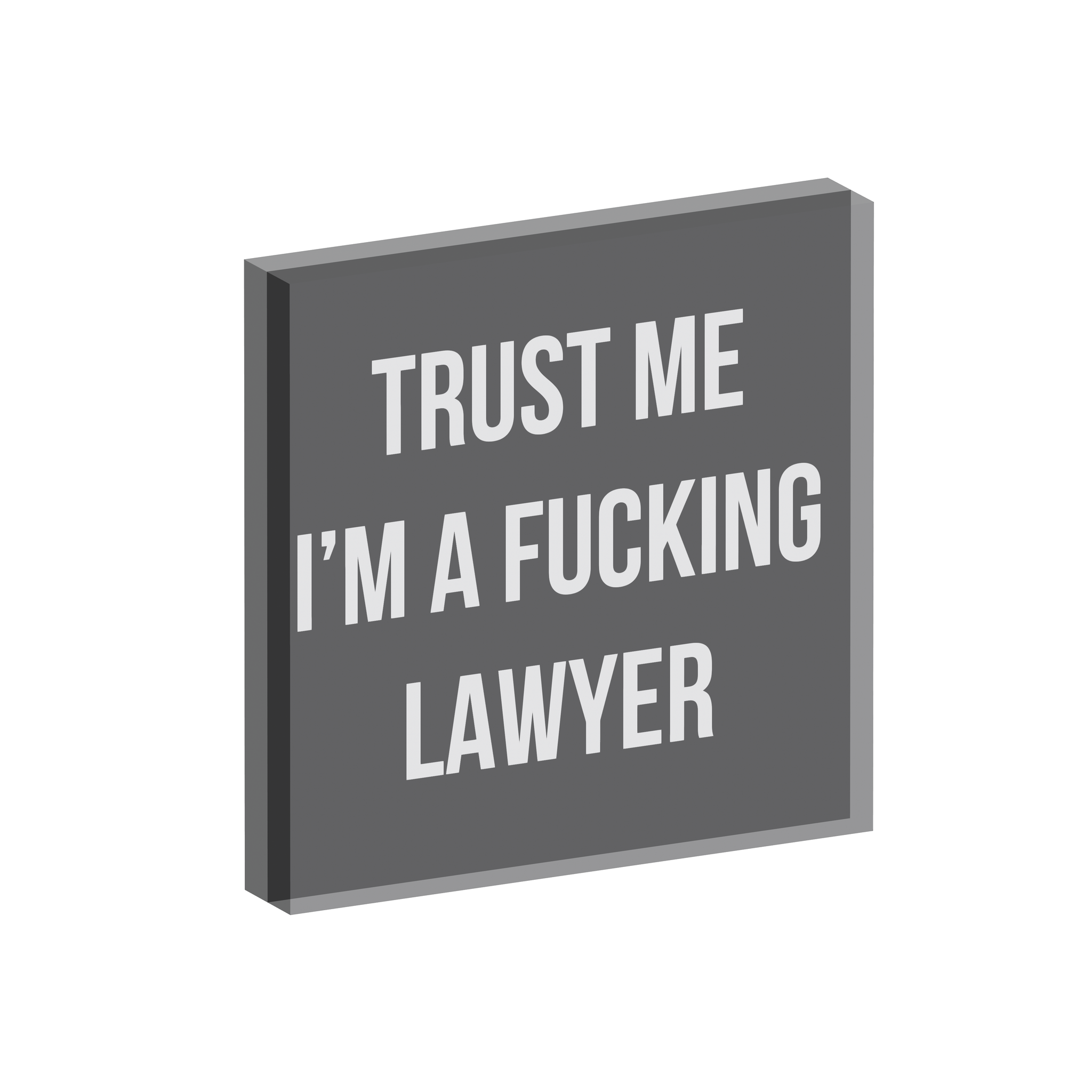 TRUST ME I'M A FUCKING LAWYER ART FRAME