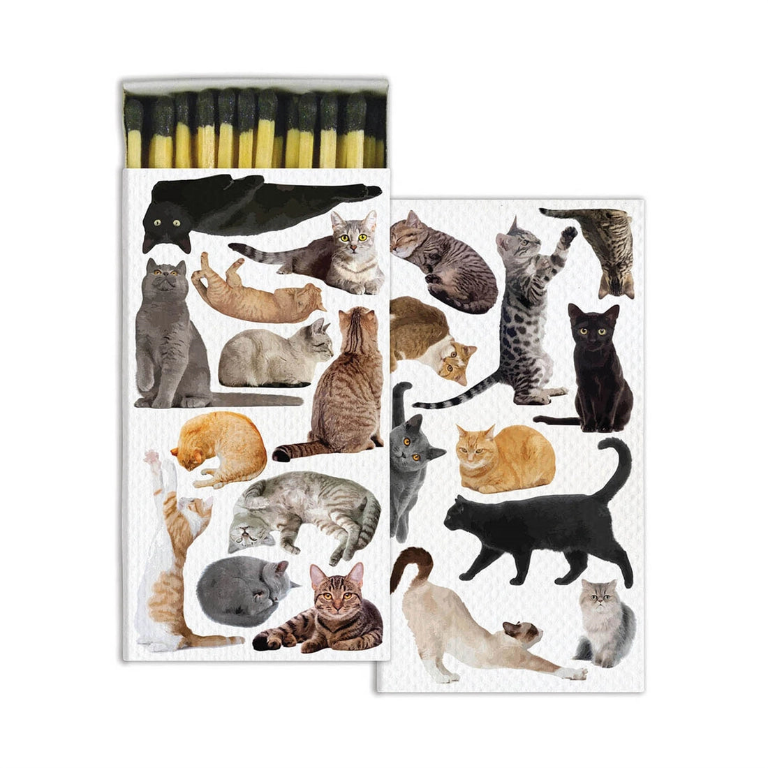 CAT PACK MATCHES